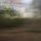 Apparition / Apparition